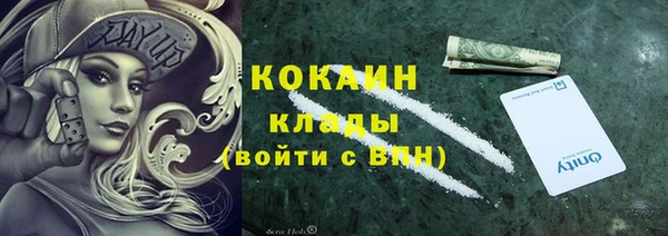 дмт Лиски