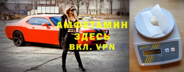 дмт Лиски
